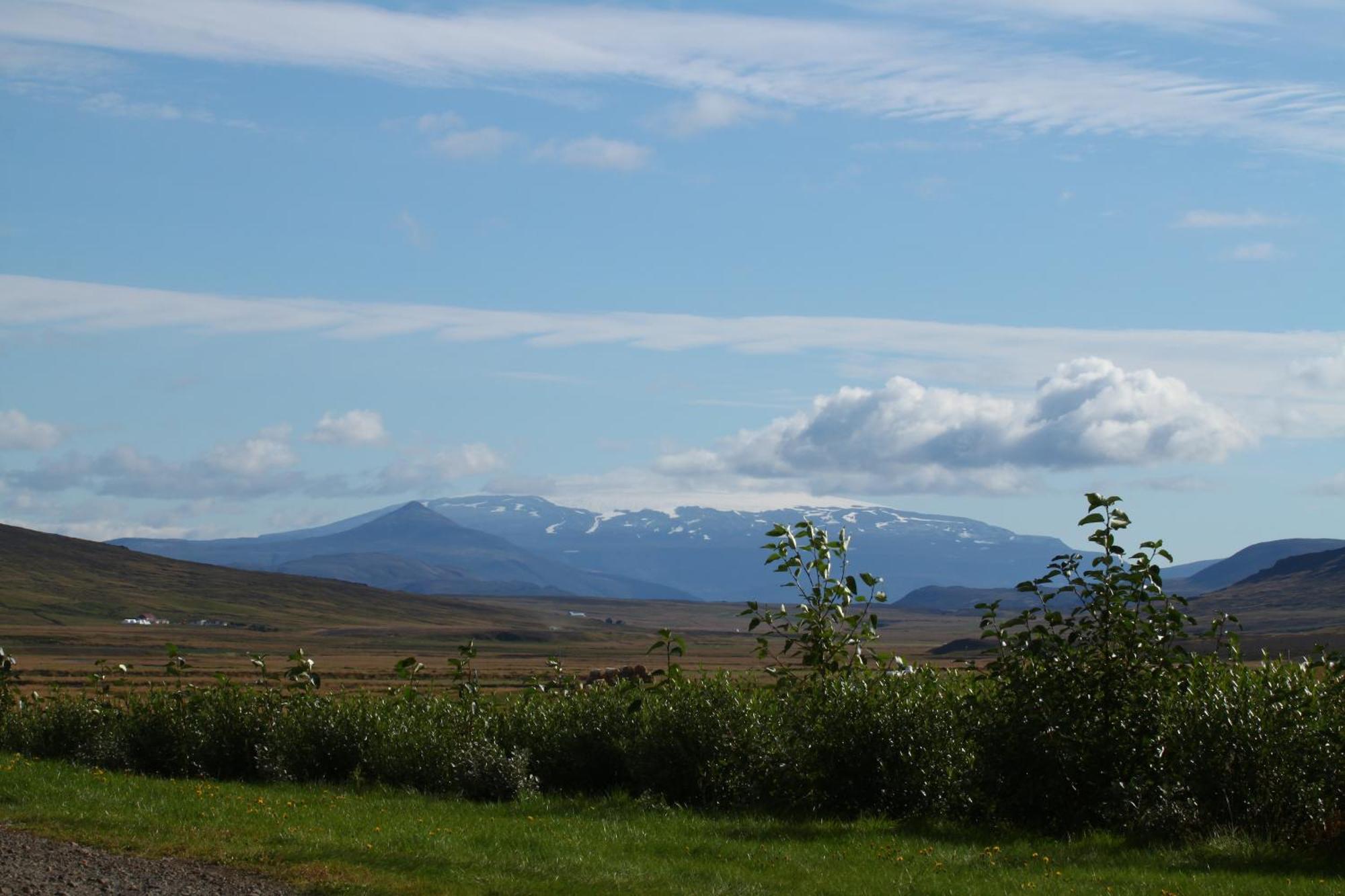 Guesthouse Steindorsstadir, West Iceland Reykholt  Ngoại thất bức ảnh