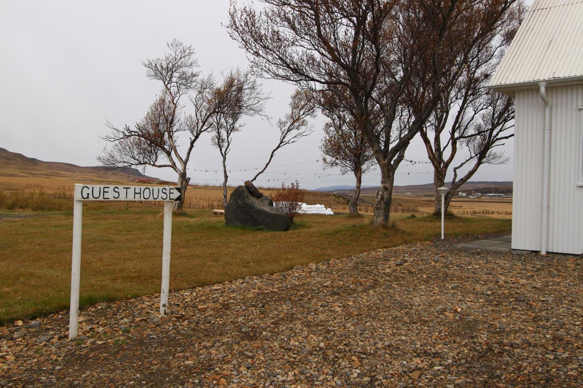 Guesthouse Steindorsstadir, West Iceland Reykholt  Ngoại thất bức ảnh