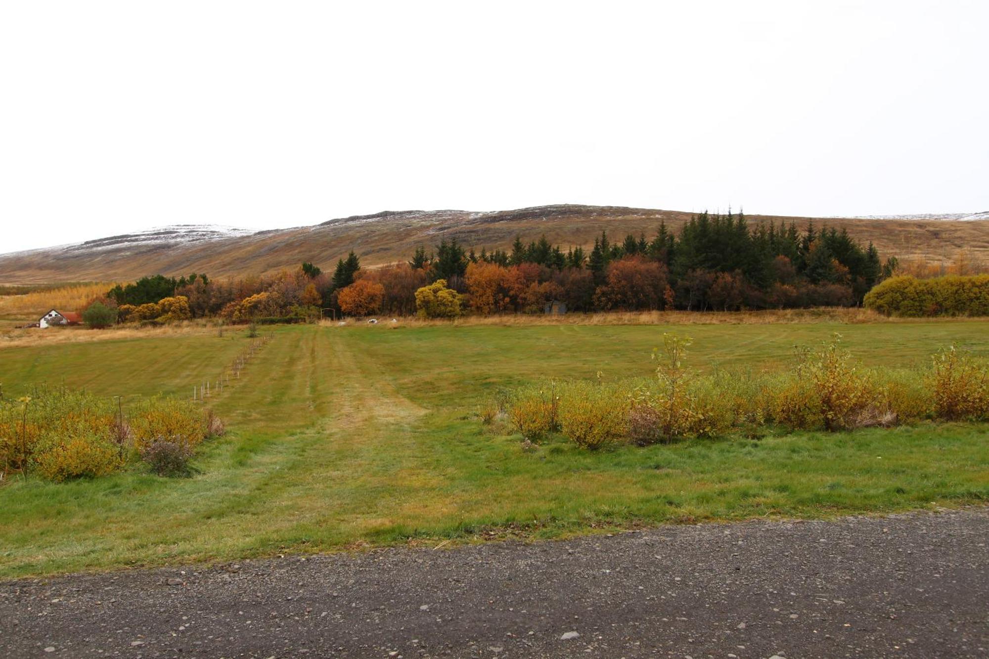 Guesthouse Steindorsstadir, West Iceland Reykholt  Ngoại thất bức ảnh