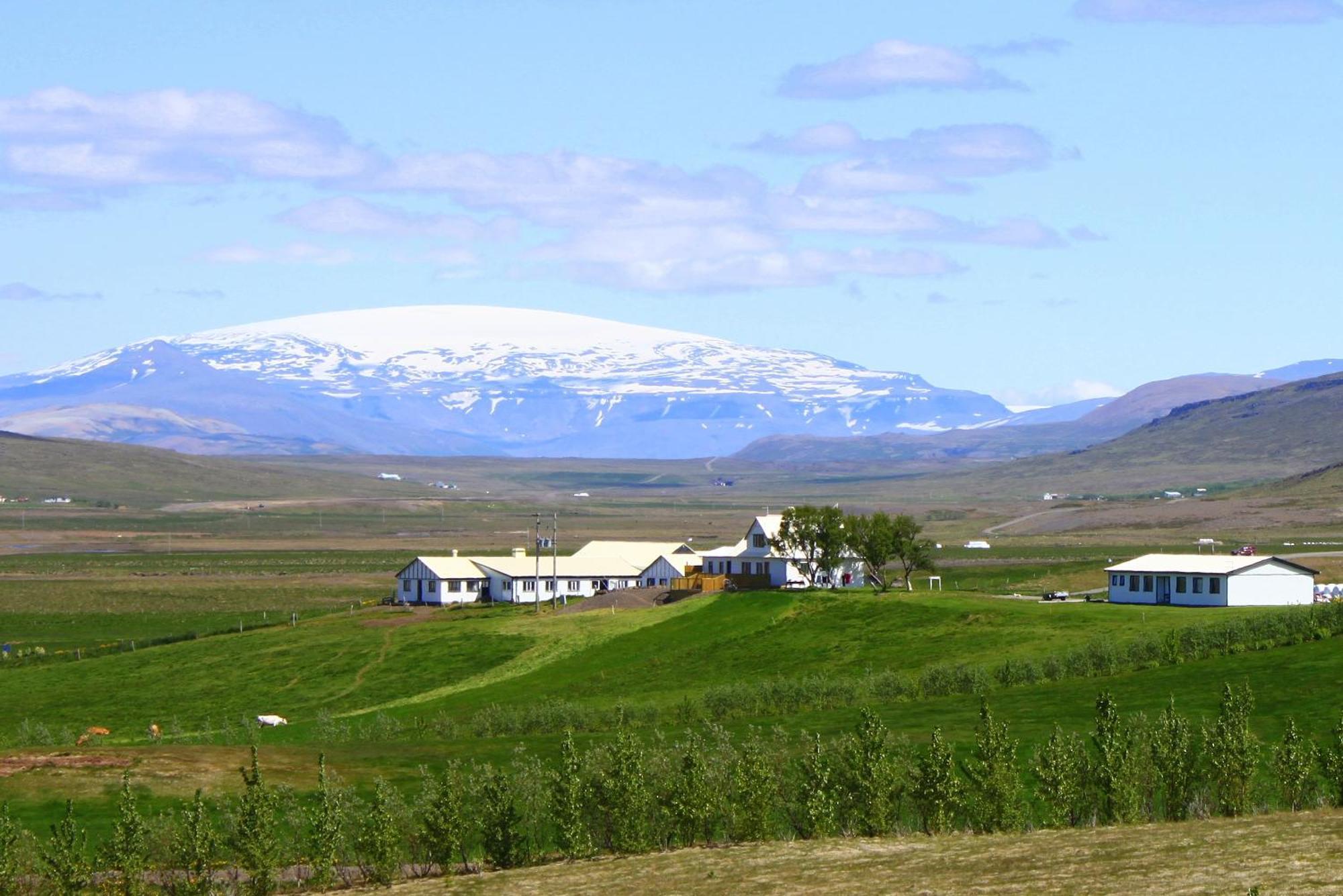 Guesthouse Steindorsstadir, West Iceland Reykholt  Ngoại thất bức ảnh