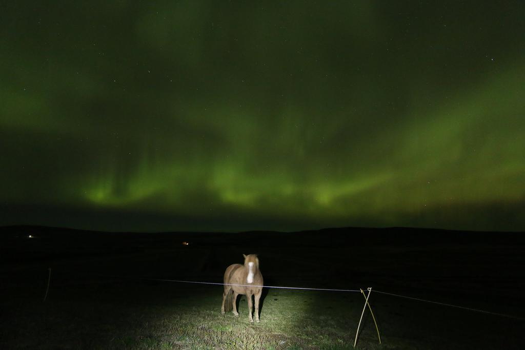 Guesthouse Steindorsstadir, West Iceland Reykholt  Ngoại thất bức ảnh